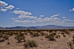 NV Contractors License Practice Test