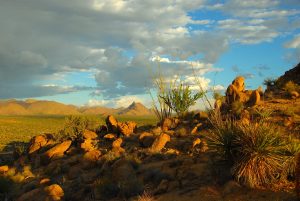 HVAC Contractors Exam Prep Arizona